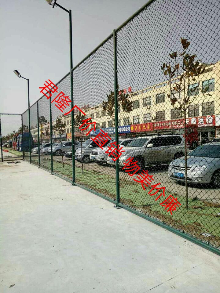山東臨沂蘭山區(qū)稅務(wù)局網(wǎng)球場(chǎng)圍網(wǎng)和籃球場(chǎng)圍網(wǎng)及球場(chǎng)燈柱1200平米按裝過程